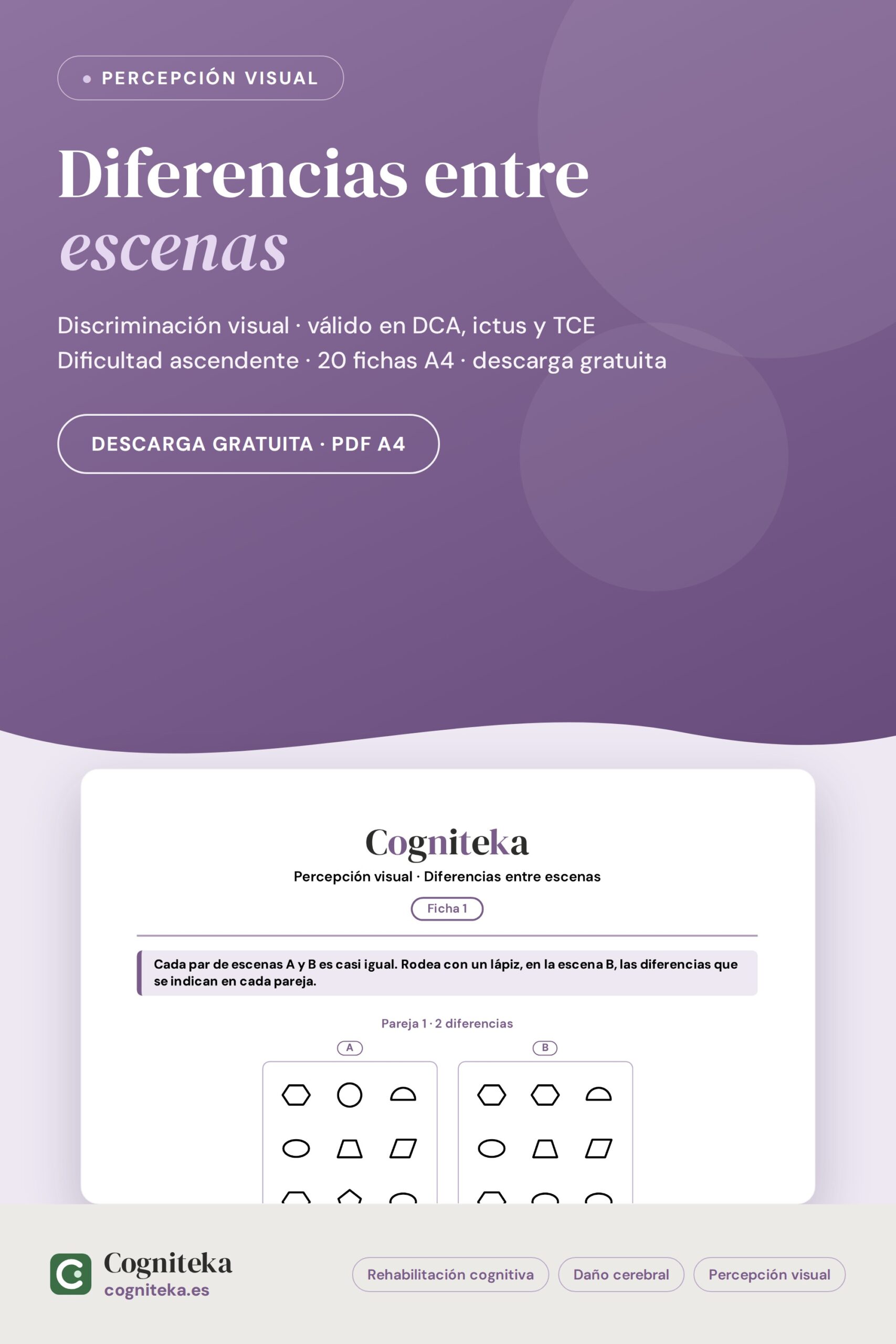 Encontrar diferencias para adultos: fichas de rehabilitación del daño cerebral, ictus y TCE