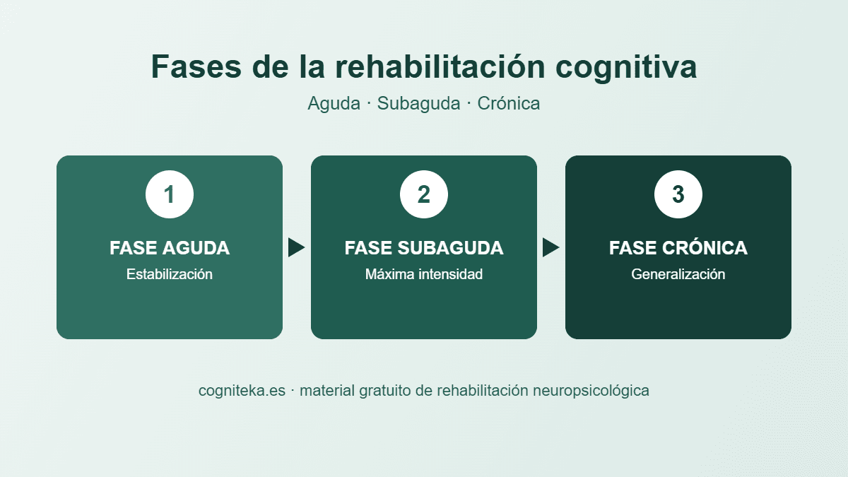 Esquema de las fases de la rehabilitación cognitiva: aguda, subaguda y crónica