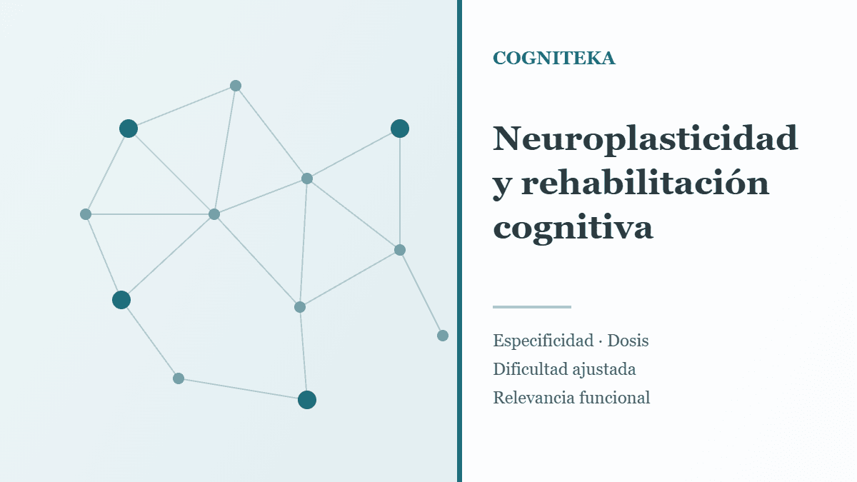 Neuroplasticidad en la rehabilitación cognitiva: red de neuronas reorganizándose