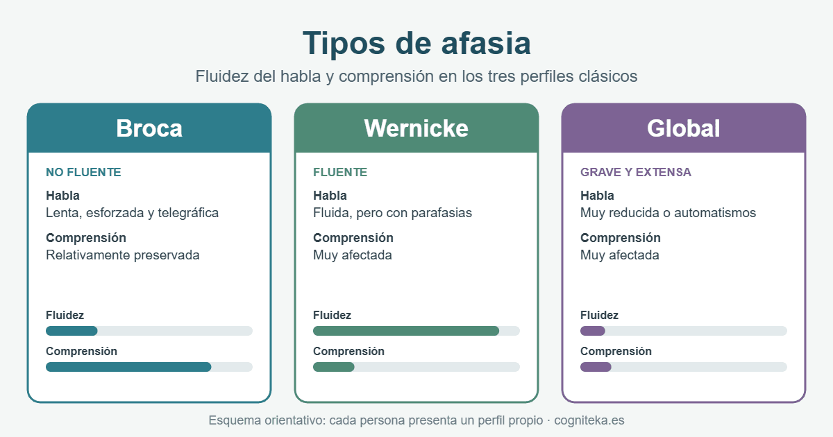 Esquema de los tipos de afasia: Broca, Wernicke y afasia global