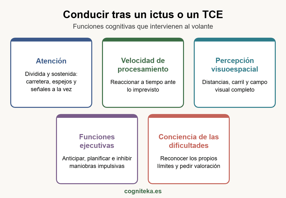 Conducir tras un ictus: funciones cognitivas que intervienen al volante