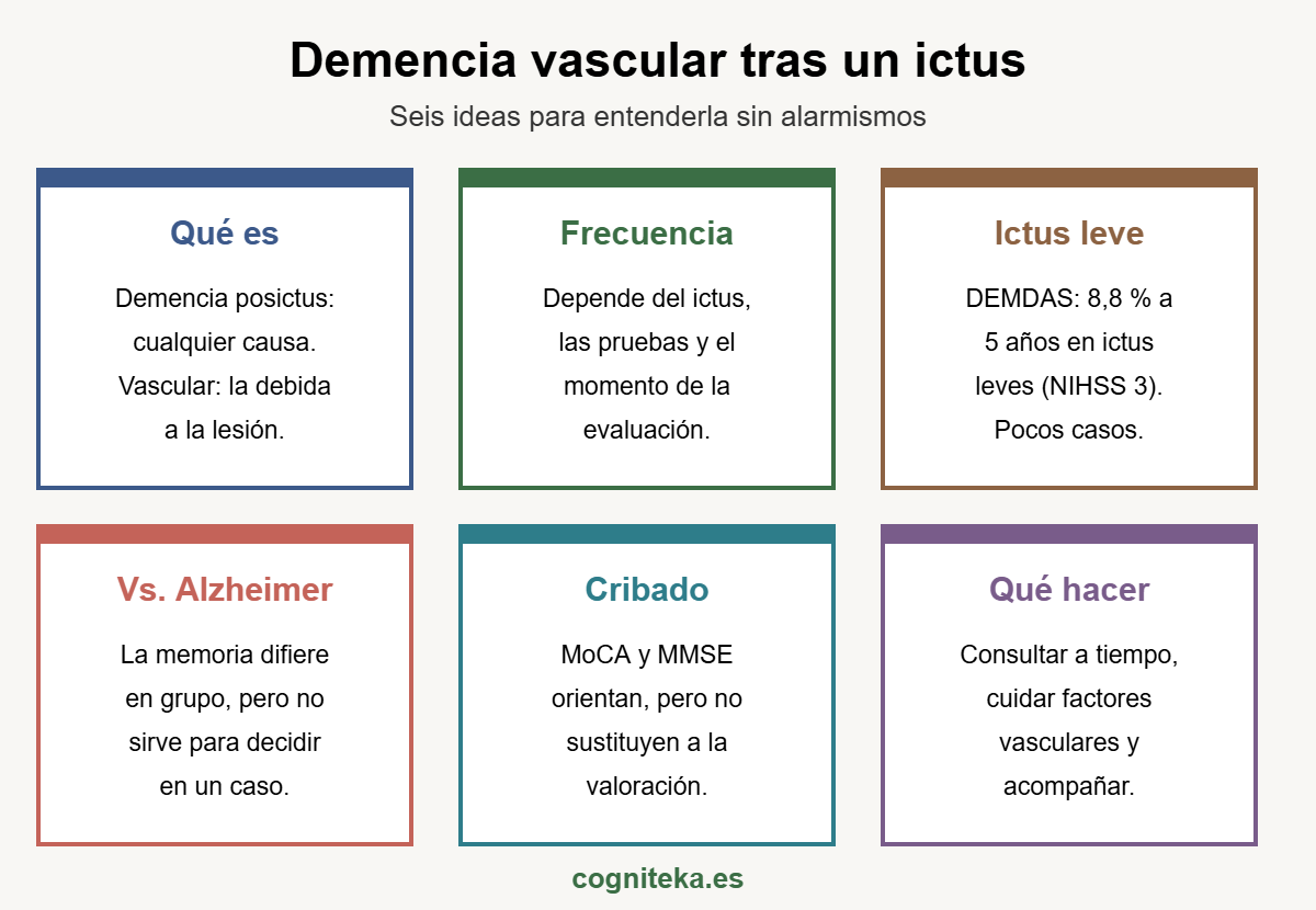 Esquema de la demencia vascular tras un ictus: qué es, frecuencia, ictus leve, diferencias con el Alzheimer, cribado y qué hacer