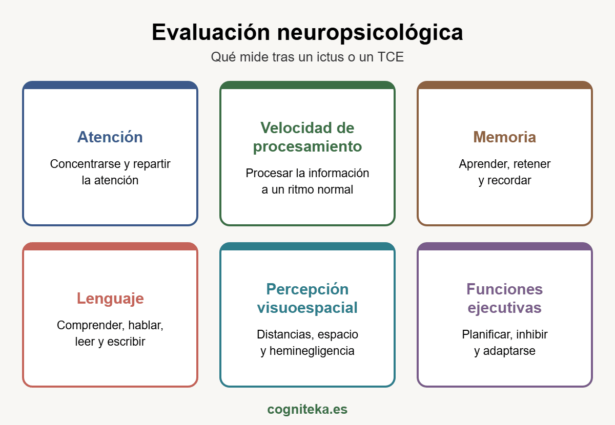 Evaluación neuropsicológica: dominios cognitivos que mide tras un ictus o un TCE