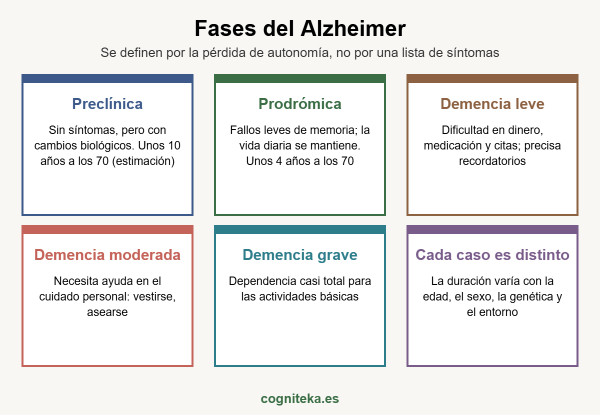 Esquema de las fases del Alzheimer según la pérdida de autonomía