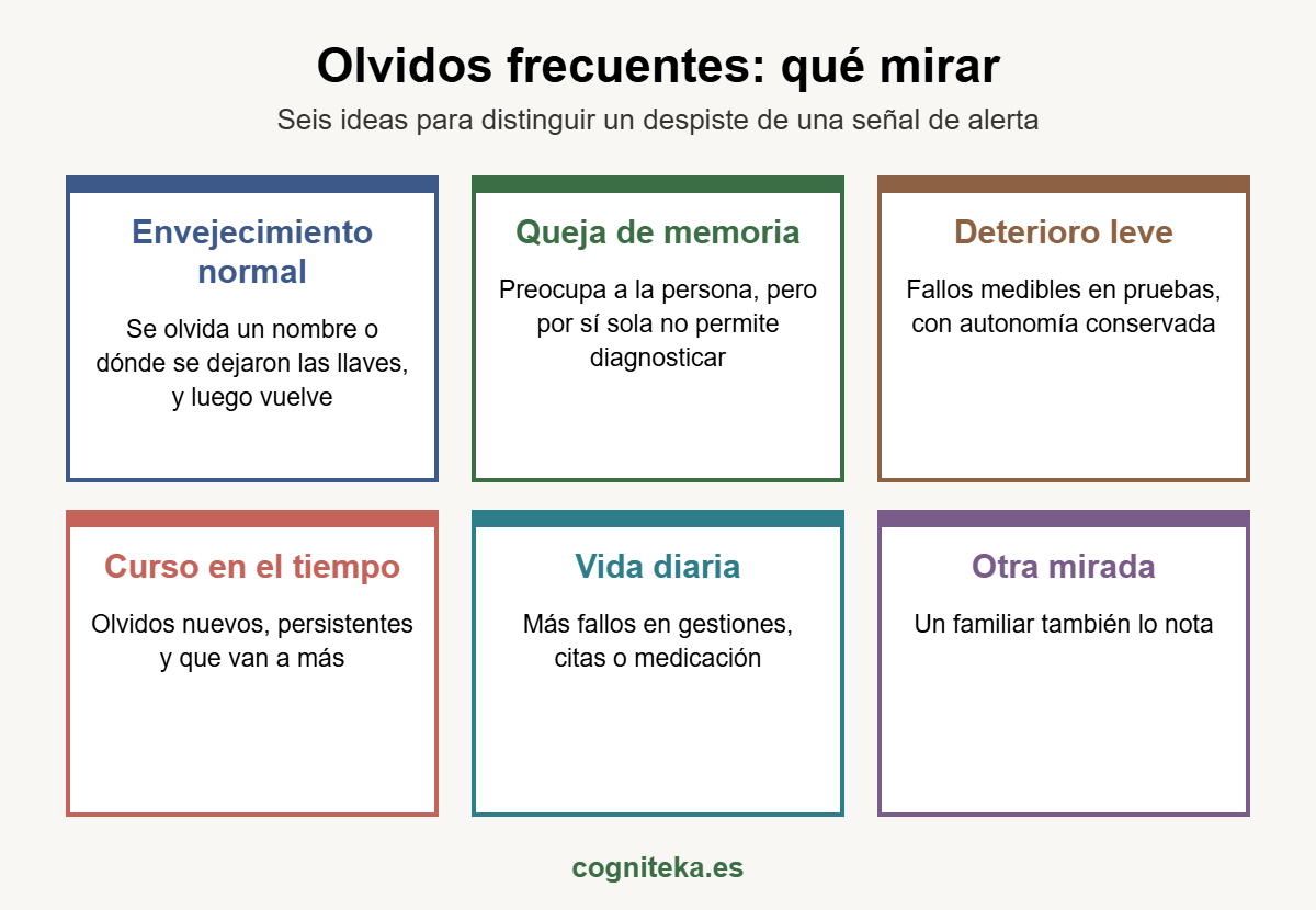 Olvidos frecuentes: qué mirar antes de pensar que son una señal de alerta